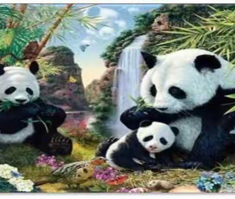 国宝大熊猫