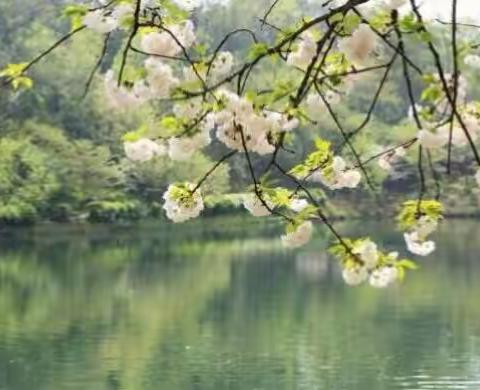 2018年长春市小学音乐学科骨干教师培训纪实