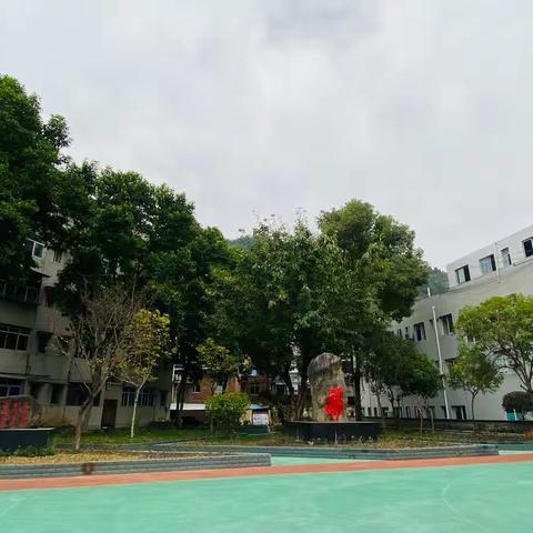 致家长的一封信