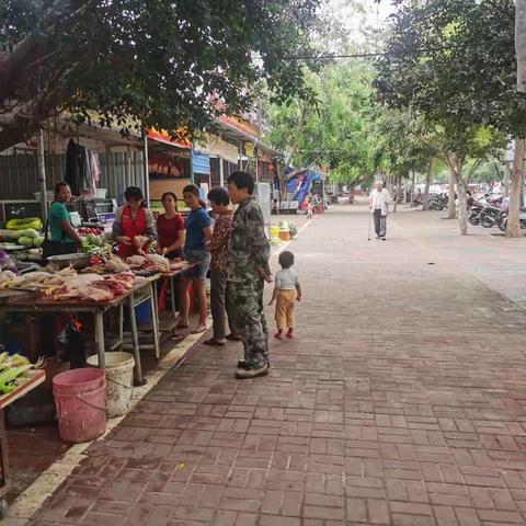 新龙镇：力抓整治促常态，共筑美好新家园