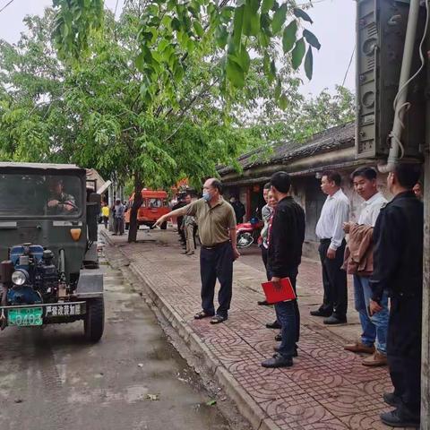 新龙镇：沿街立整提面貌，人居环境在行动