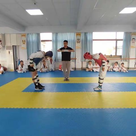 青少年宫跆拳道暑假班集锦