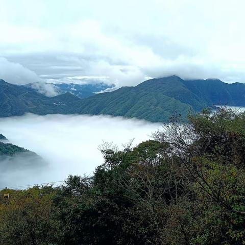 2021金秋十月游龙头山、光雾山