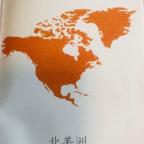 北美洲的动物群体