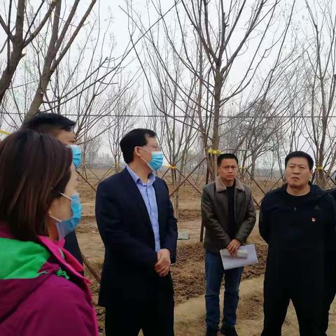 开封森林城市创建的美篇