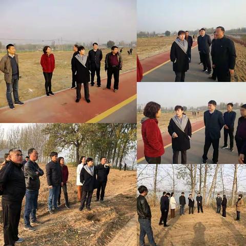 王玲副市长调研义务植树工作