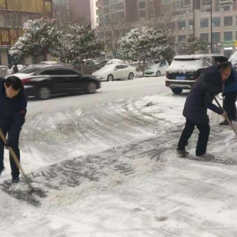 市林业局组织积雪清扫