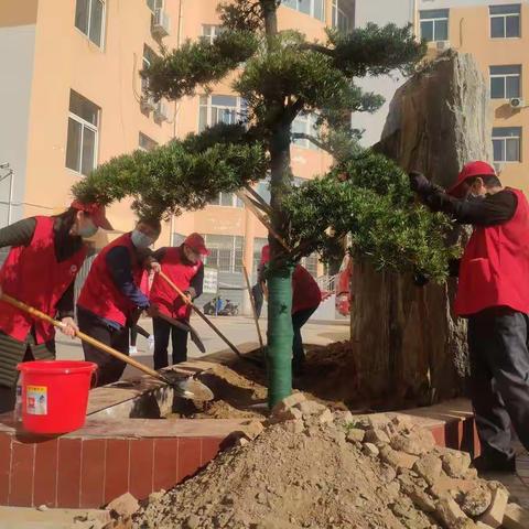 市林业局抢抓时节，庭院绿化再提升