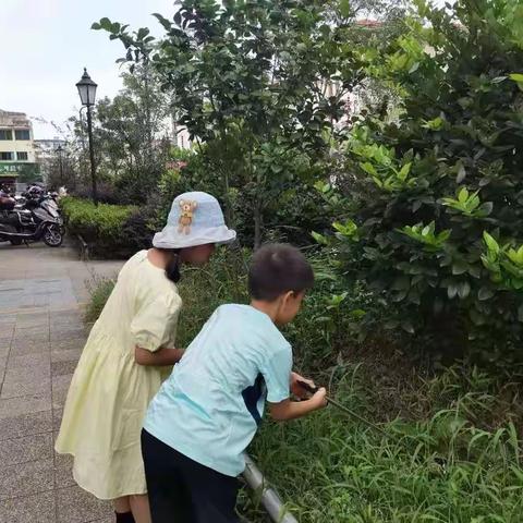 垃圾分类我先行，争当环保小卫士
