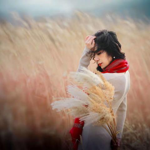 摇曳在深秋里的那抹红