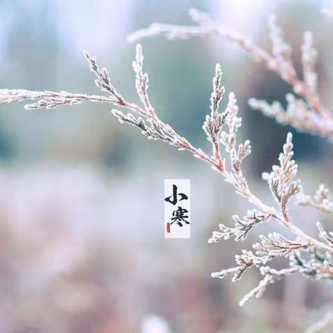 小脚丫散步二十四节气*小寒