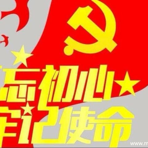 “牢记初心使命 争当出彩先锋”确山五小主题党日活动