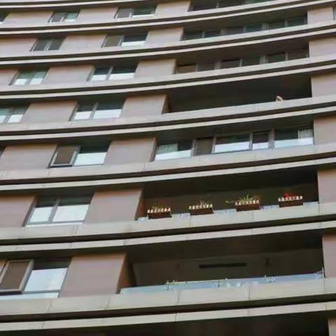 苗苗，这是什么地方？是谁家的小区啊？你认识吗？