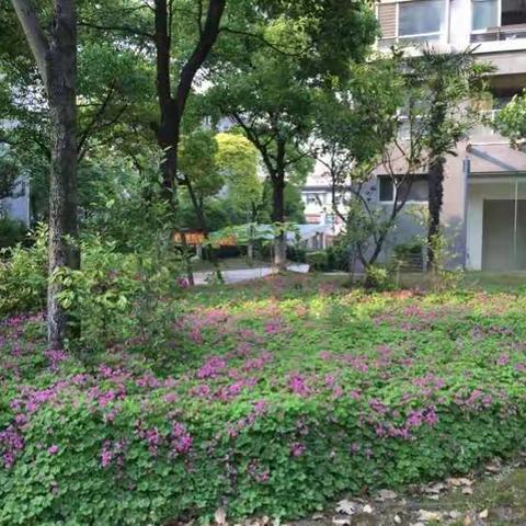 祥和尊邸一角-苗苗创作