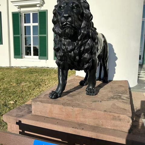 “出来干革命是为了什么啊？”