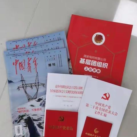 双十一“红色快递”在路上——哈尔滨供电公司团委掀起学习宣传贯彻党的二十大精神热潮