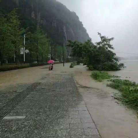 风雨再大信号永不消逝  责任如山电信誓保畅通