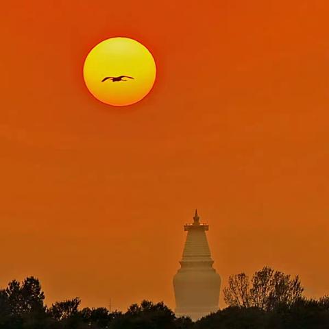 我眼中的怀仁(一)