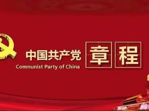 “学新党章，诵新精神”向党旗靠拢主题党日活动