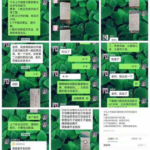 双树王小学四语5.30-6.3学习情况汇总