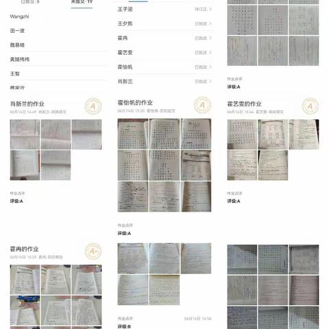 6.13-6.17双树王小学四语线上学习情况