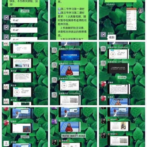 11.14-11.20双树王三语上课情况汇总