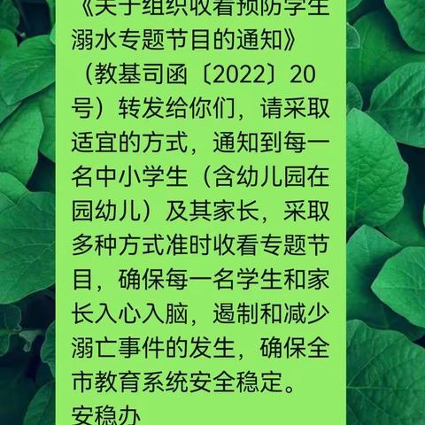 双树王小学四年级防溺水安全教育视频学习