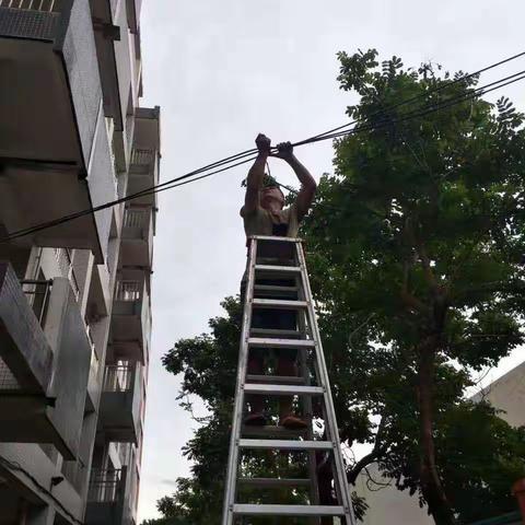 清理台风过后卫生，志愿者在行动