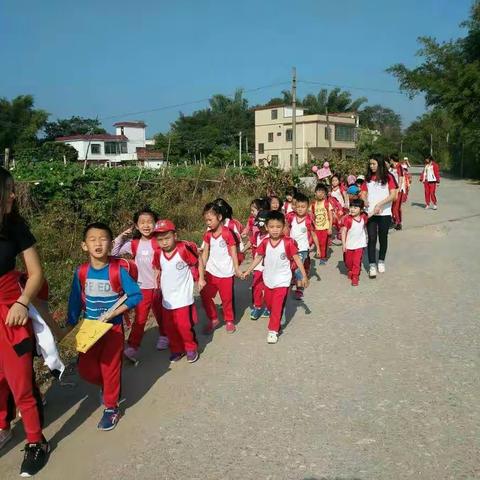 🍁和平南幼儿园🍁☀重阳登高活动﻿我们来啦！☀