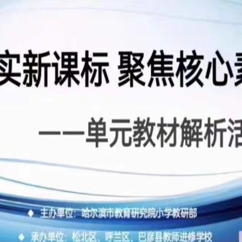 研读新课标  赋能师成长——呼兰区东方红小学六学年教师参加哈市小学数学六年级教研联盟活动纪实