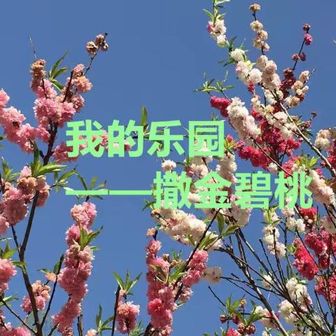 我的乐园——撒金碧桃花