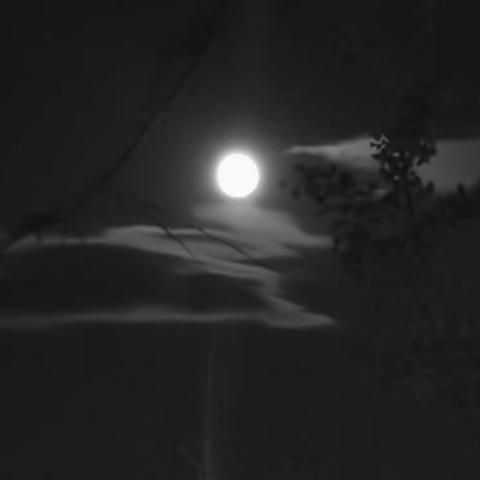 看见这轮中秋月就看见了你