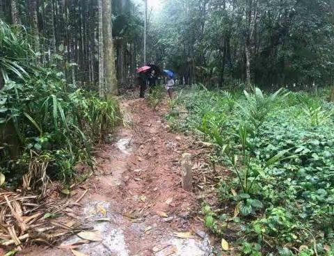 屯昌县司法局坡心司法所人民调解工作美篇