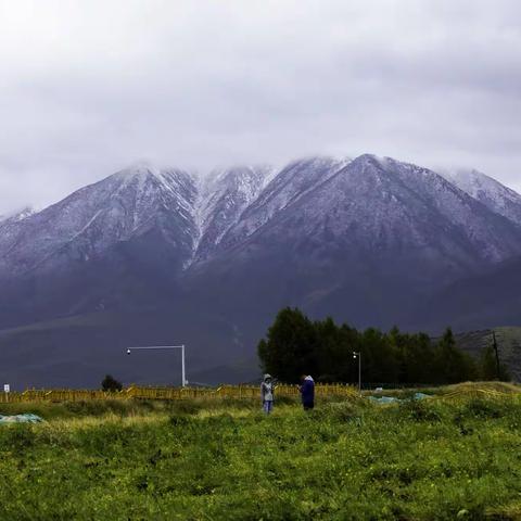 西部之行——青海篇