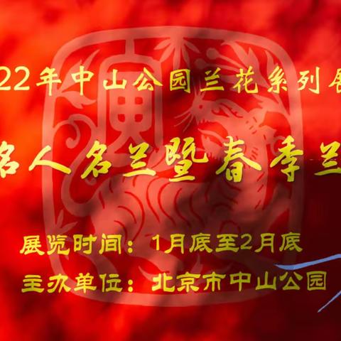 2022年中山公园兰花展