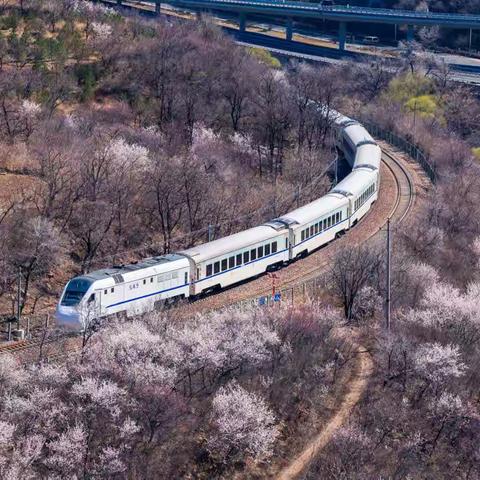 登居庸关长城看开往春天的列车