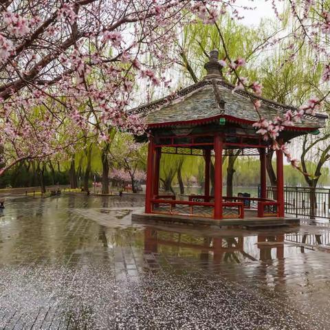 雨中游颐和园