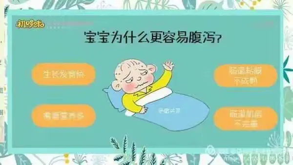 解读宝宝腹泻及辅食注意事项