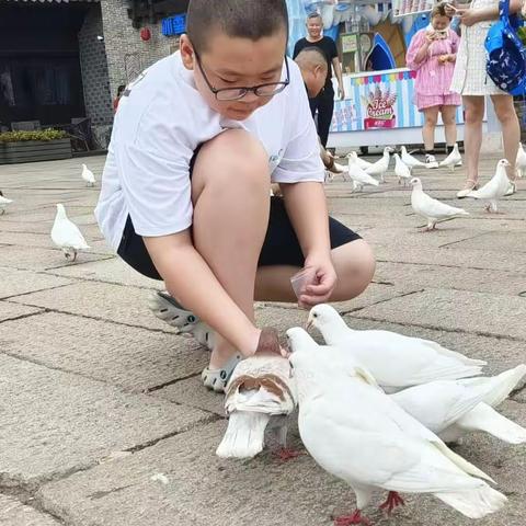 “双减”暑假，“暑”我精彩——1802班戴宇轩暑假生活纪实