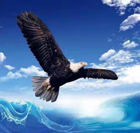 借快乐翅膀，飞越二零二二天空