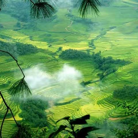 细雨飘柔泉洒面