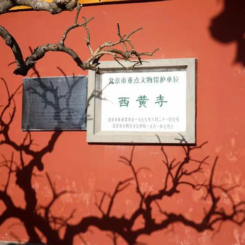 学摄影-西黄寺的光影