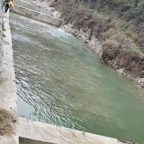 党旗飘飘展风采，一树繁花向阳开