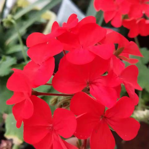 新学期，新气象---西工区第二实验小学二年级三月主题课程活动纪实