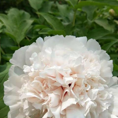 聆听窗外的声音，放飞最美的春风---西工区第二实验小学二年级大自然研学活动