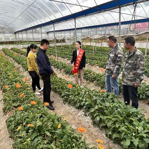 【福小宣·明大理·清来讲】嵩溪镇开展学习贯彻党的二十大精神系列宣讲活动