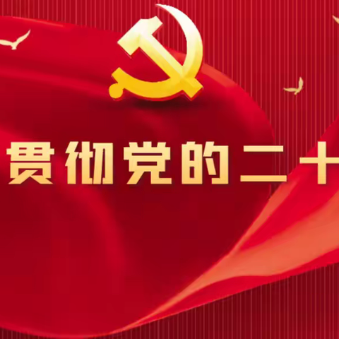 【平城特教】学习党的二十大（三）
