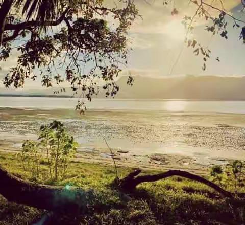 家教影响孩子一生