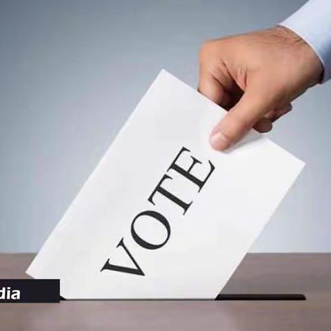 由参加2014年大选工作所想到的