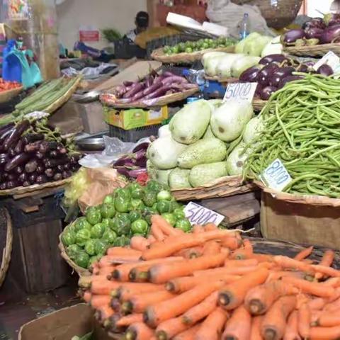 毛里求斯夏天的蔬菜